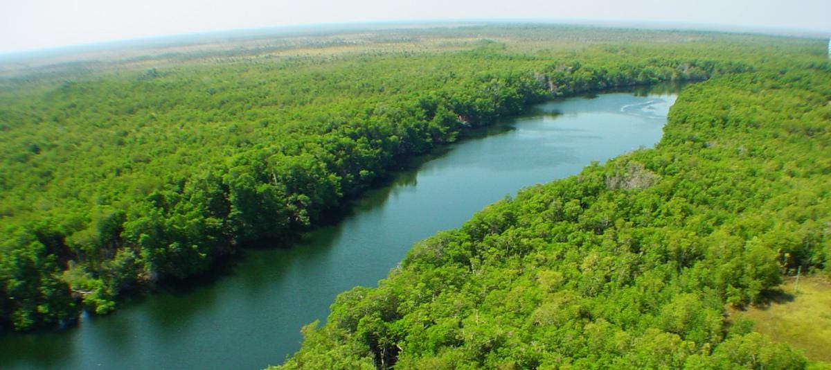 31 Ciénaga de Zapata-TRIMMED