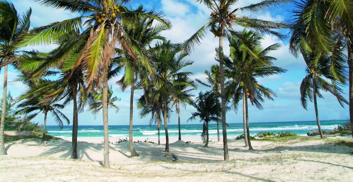 PLAYA 4-b