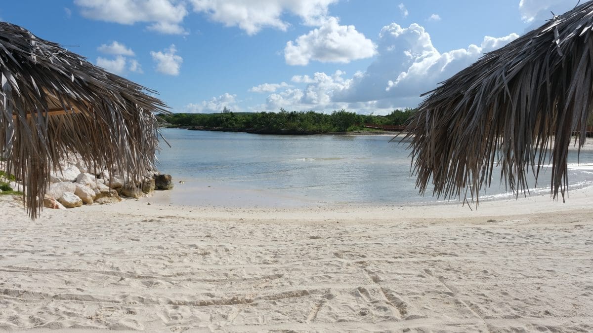 IBEROSTAR HOG-Beach 5